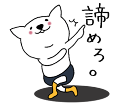 Cat not snapped. sticker #10166844