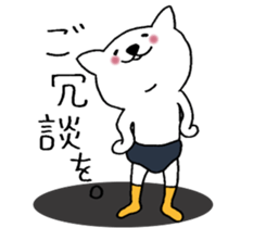 Cat not snapped. sticker #10166851