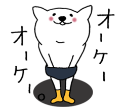 Cat not snapped. sticker #10166853