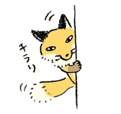 three foxes! sticker #10167161