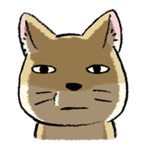 three foxes! sticker #10167166