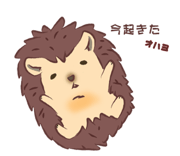 Sticker of hedgehog sticker #10168828