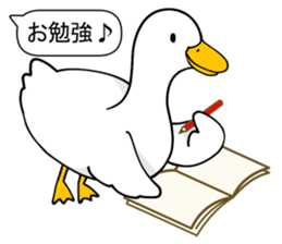 Duck Driver sticker #10169472
