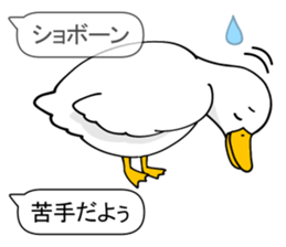Duck Driver sticker #10169481