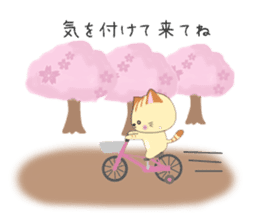 Kuro's daily life 14 SAKURA sticker #10169549