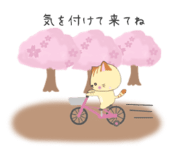 Kuro's daily life 14 SAKURA sticker #10169549