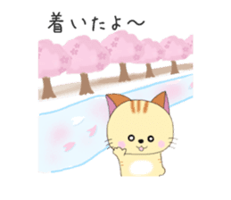Kuro's daily life 14 SAKURA sticker #10169552