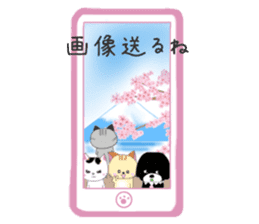 Kuro's daily life 14 SAKURA sticker #10169567