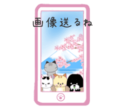 Kuro's daily life 14 SAKURA sticker #10169567