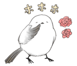 Shimaenaga  Long-tailed little bird sticker #10169818
