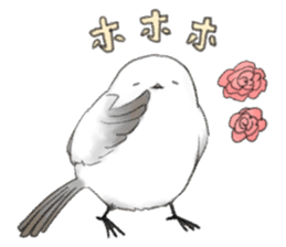 Shimaenaga Long-tailed little bird sticker #10169818