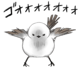 Shimaenaga  Long-tailed little bird sticker #10169832