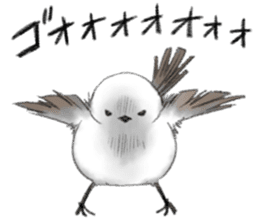 Shimaenaga Long-tailed little bird sticker #10169832