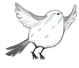 Shimaenaga  Long-tailed little bird sticker #10169834