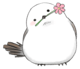 Shimaenaga  Long-tailed little bird sticker #10169842