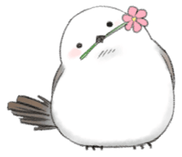 Shimaenaga Long-tailed little bird sticker #10169842
