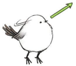 Shimaenaga Long-tailed little bird sticker #10169845