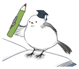 Shimaenaga  Long-tailed little bird sticker #10169847