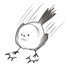 Shimaenaga  Long-tailed little bird sticker #10169851
