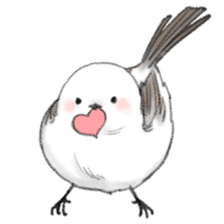 Shimaenaga  Long-tailed little bird sticker #10169852