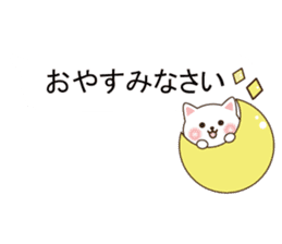 Small cat message sticker #10170319