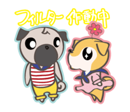 SHIBANGESE HANA sticker #10172552