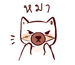 Lanna CAT sticker #10172581