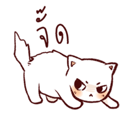 Lanna CAT sticker #10172603