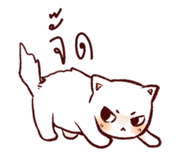 Lanna CAT sticker #10172603