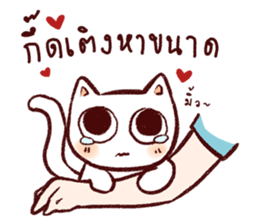 Lanna CAT sticker #10172614