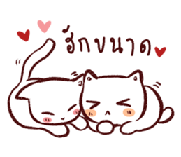 Lanna CAT sticker #10172615