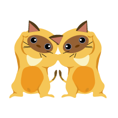 Siamese A-CHAING