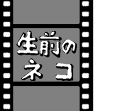 Time that cat was alive sticker #10173136