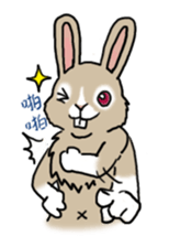 Happy woods friends sticker #10173984