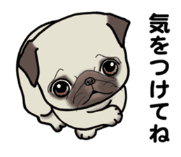 3 Snub-nosed Pups II sticker #10175950