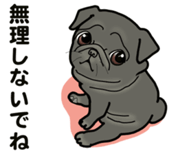 3 Snub-nosed Pups II sticker #10175951