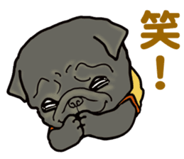 3 Snub-nosed Pups II sticker #10175956