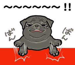 3 Snub-nosed Pups II sticker #10175958