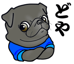 3 Snub-nosed Pups II sticker #10175959
