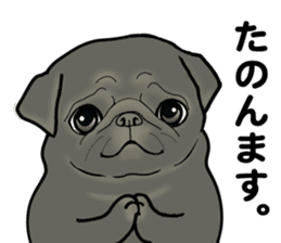 3 Snub-nosed Pups II sticker #10175963