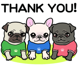 3 Snub-nosed Pups II sticker #10175975