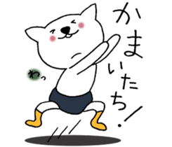 Cat not snapped 2. sticker #10179322