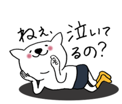 Cat not snapped 3. sticker #10179862