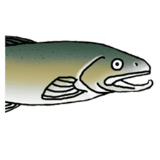 Norwegian Sea animals sticker #10181242