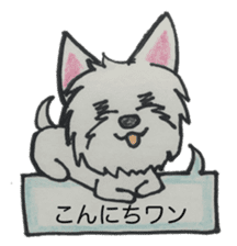 My Westie sticker #10186736