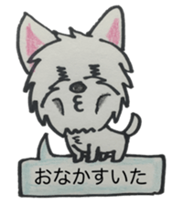 My Westie sticker #10186744