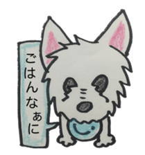 My Westie sticker #10186754