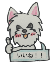 My Westie sticker #10186758