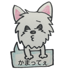 My Westie sticker #10186771