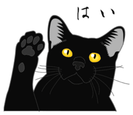 Glory of the Rial-based black cat sticker #10187596